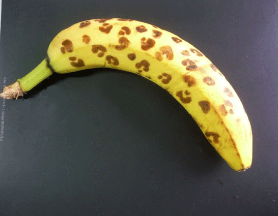 banana-chic/ before banana-chic_1